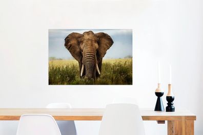 Glasbilder - 90x60 cm - Bedrohender Elefant (Gr. 90x60 cm)
