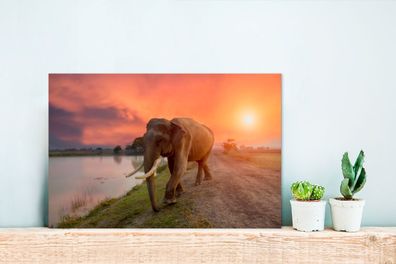Glasbilder - 30x20 cm - Elefant läuft zum See (Gr. 30x20 cm)