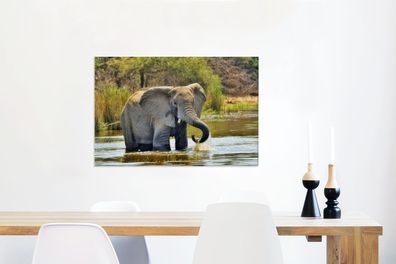 Leinwandbilder - 60x40 cm - Badender Elefant (Gr. 60x40 cm)