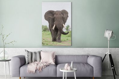 Leinwandbilder - 90x140 cm - Entgegenkommender Elefant (Gr. 90x140 cm)