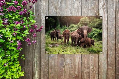 Gartenposter - 90x60 cm - Elefanten aus dem Wald (Gr. 90x60 cm)