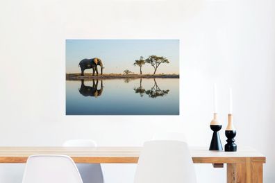 Glasbilder - 90x60 cm - Elefant an einem See (Gr. 90x60 cm)