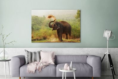 Leinwandbilder - 140x90 cm - Reinigung Elefant (Gr. 140x90 cm)