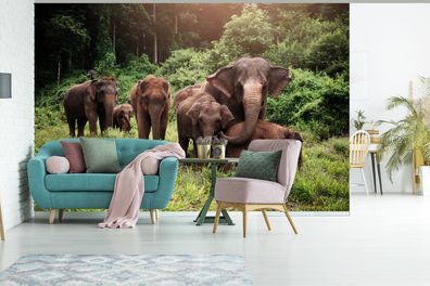 Fototapete - 450x300 cm - Elefanten aus dem Wald (Gr. 450x300 cm)