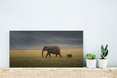 Glasbilder - 40x20 cm - Elefanten fliehen vor dem schlechten Wetter (Gr. 40x20 cm)