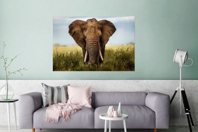 Glasbilder - 120x80 cm - Bedrohender Elefant (Gr. 120x80 cm)