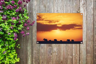 Gartenposter - 60x40 cm - Elefantenherde bei Sonnenuntergang (Gr. 60x40 cm)