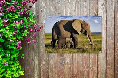 Gartenposter - 60x40 cm - Mutter und Baby-Elefant durch die Savanne (Gr. 60x40 cm)