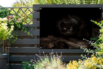 Gartenposter - 120x80 cm - Panther - Wald - Augen (Gr. 120x80 cm)