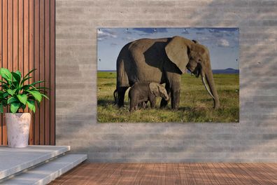 Gartenposter - 180x120 cm - Mutter und Baby-Elefant durch die Savanne