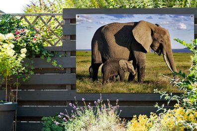 Gartenposter - 120x80 cm - Mutter und Baby-Elefant durch die Savanne (Gr. 120x80 cm)