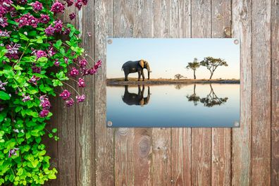 Gartenposter - 90x60 cm - Elefant an einem See (Gr. 90x60 cm)