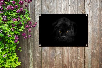 Gartenposter - 90x60 cm - Leopard - Augen - Schwarz (Gr. 90x60 cm)