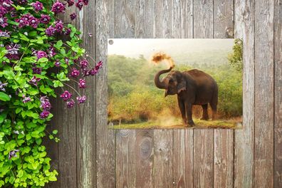Gartenposter - 90x60 cm - Reinigung Elefant (Gr. 90x60 cm)