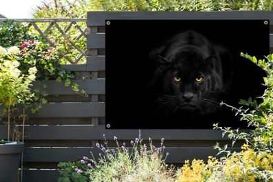 Gartenposter - 120x80 cm - Leopard - Augen - Schwarz (Gr. 120x80 cm)