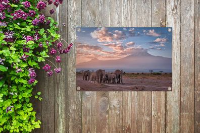 Gartenposter - 90x60 cm - Wandernde Elefanten (Gr. 90x60 cm)