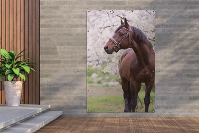 Gartenposter - 120x180 cm - Pferd - Sakura - Halfter (Gr. 120x180 cm)
