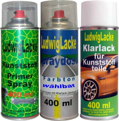 Kunststoffsprayset für Audi/ VW Clementine L20D