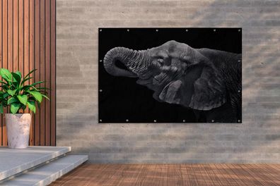 Gartenposter - 180x120 cm - Elefant mit Rüssel im Maul in Schwarz und Weiß