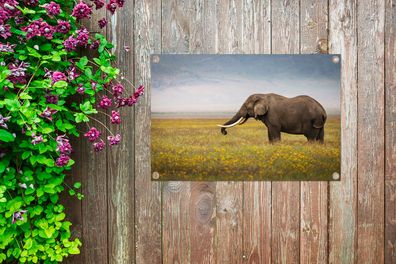 Gartenposter - 60x40 cm - Weidender Elefant in der Natur Afrikas (Gr. 60x40 cm)