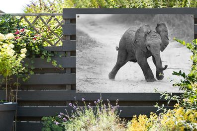 Gartenposter - 120x80 cm - Baby-Elefant zu Fuß in den Sand in schwarz und weiß