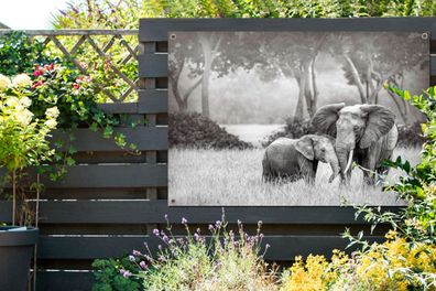 Gartenposter - 120x80 cm - Baby-Elefant mit ihrer Mutter in schwarz und weiß