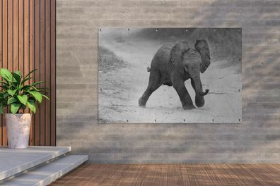 Gartenposter - 180x120 cm - Baby-Elefant zu Fuß in den Sand in schwarz und weiß