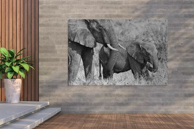 Gartenposter - 180x120 cm - Baby-Elefant und ihre Mutter in Kenia in schwarz und weiß