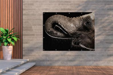 Gartenposter - 160x120 cm - Porträt eines Elefanten mit seinem Rüssel im Maul
