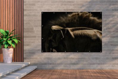 Gartenposter - 180x120 cm - Elefant schüttelt Schlamm auf einem schwarzen Hintergrund