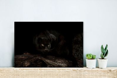 Leinwandbilder - 30x20 cm - Panther - Wald - Augen (Gr. 30x20 cm)