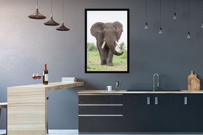 Poster - 60x90 cm - Entgegenkommender Elefant (Gr. 60x90 cm)