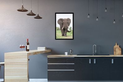Poster - 40x60 cm - Entgegenkommender Elefant (Gr. 40x60 cm)