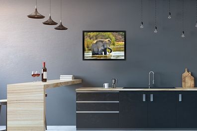 Poster - 60x40 cm - Badender Elefant (Gr. 60x40 cm)