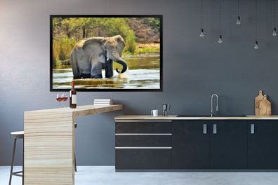 Poster - 120x80 cm - Badender Elefant (Gr. 120x80 cm)