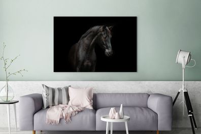Leinwandbilder - 140x90 cm - Pferd - Tier - Schwarz (Gr. 140x90 cm)