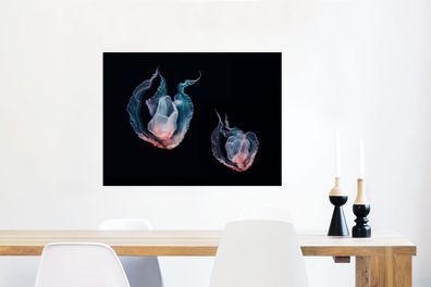 Glasbilder - 80x60 cm - Quallen - Meerestiere - Schwarz (Gr. 80x60 cm)