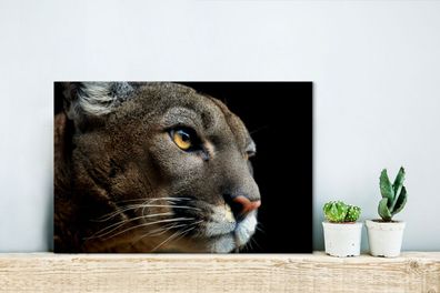Leinwandbilder - 30x20 cm - Cougar - Augen - Schwarz (Gr. 30x20 cm)