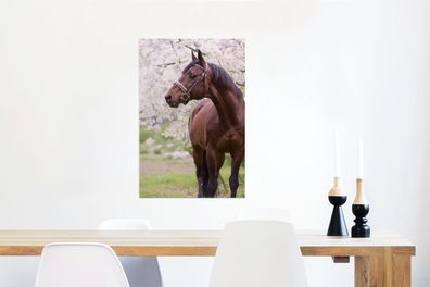 Glasbilder - 60x90 cm - Pferd - Sakura - Halfter (Gr. 60x90 cm)