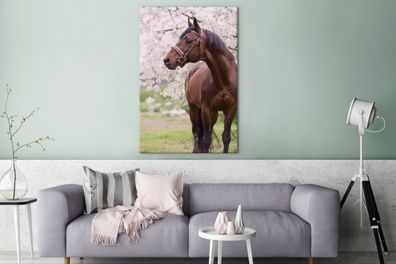 Leinwandbilder - 80x120 cm - Pferd - Sakura - Halfter (Gr. 80x120 cm)