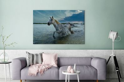 Leinwandbilder - 140x90 cm - Pferd - Wasser - Tropfen (Gr. 140x90 cm)