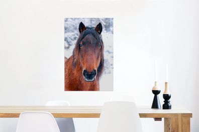 Glasbilder - 40x60 cm - Pferd - Winter - Schneeflocke (Gr. 40x60 cm)
