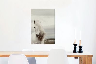 Leinwandbilder - 40x60 cm - Pferd - Strand - Mähne (Gr. 40x60 cm)