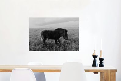 Glasbilder - 60x40 cm - Pferd - Gras - Schwarz - Weiß (Gr. 60x40 cm)