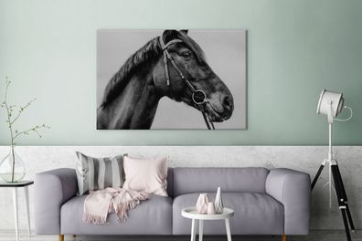 Leinwandbilder - 140x90 cm - Pferd - Halfter - Porträt (Gr. 140x90 cm)