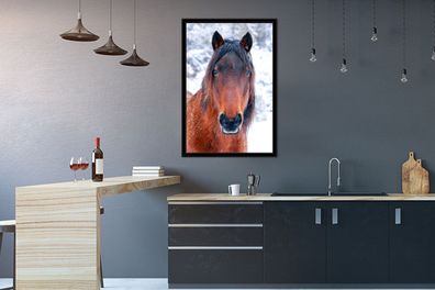 Poster - 60x90 cm - Pferd - Winter - Schneeflocke (Gr. 60x90 cm)