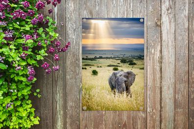 Gartenposter - 60x90 cm - Sonnenstrahlen über einem Elefanten in der Savanne