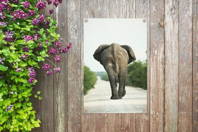 Gartenposter - 60x90 cm - Rücken eines Elefanten (Gr. 60x90 cm)