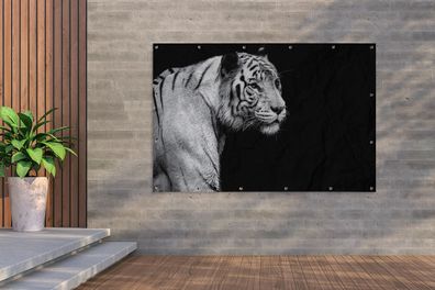 Gartenposter - 180x120 cm - Studio Schuss weißen Tiger auf schwarzem Hintergrund