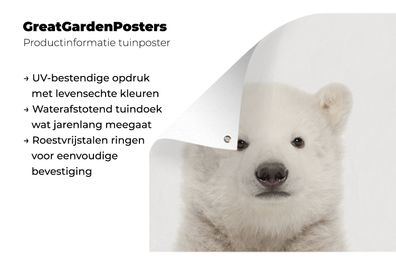 Gartenposter - 100x100 cm - Babyzimmer - Eisbärenbaby - Kinderzimmer (Gr. 100x100 cm)